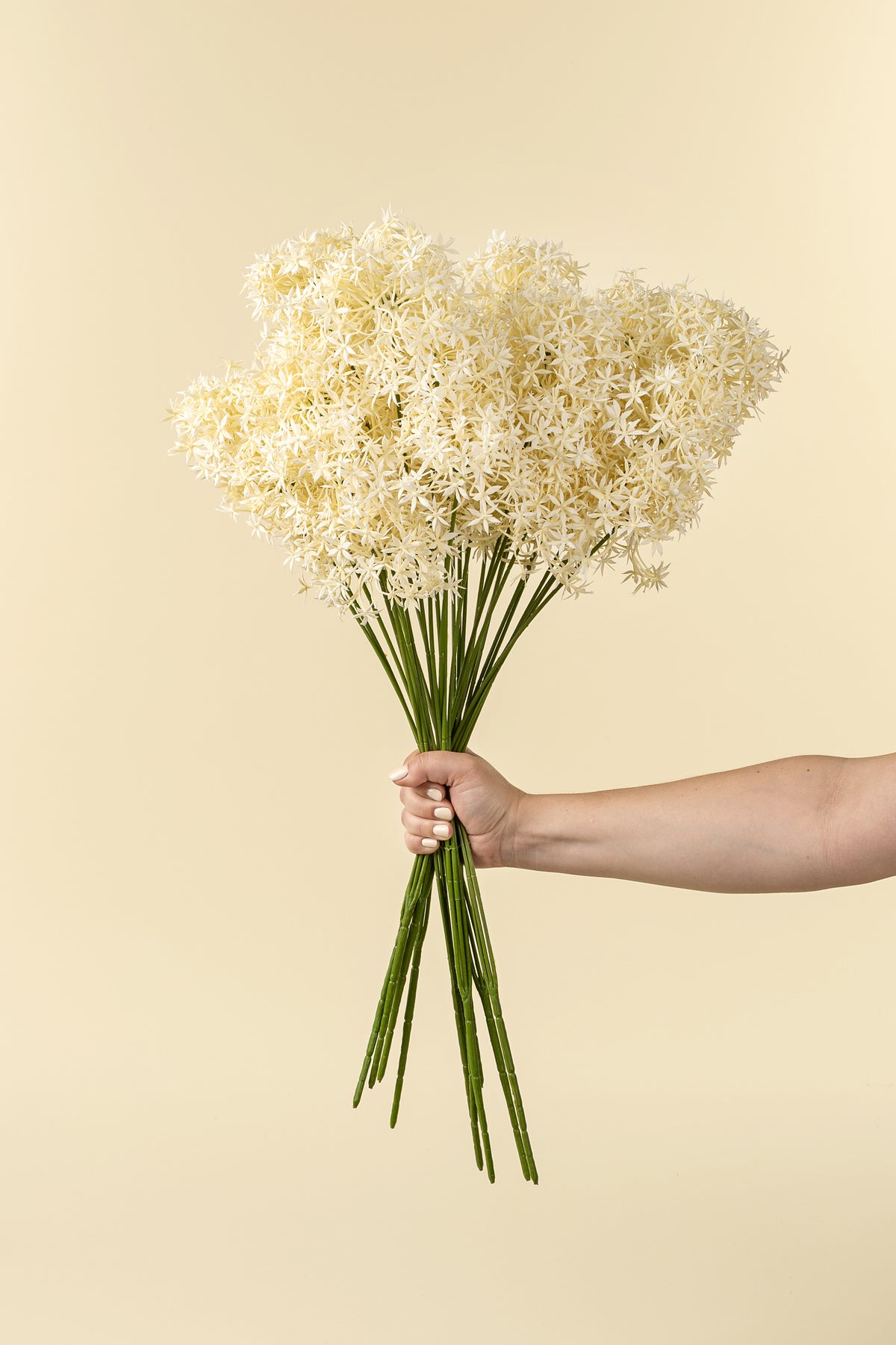 Allium Floral Spray Cream – hand holding a bouquet of white flowers against a beige background