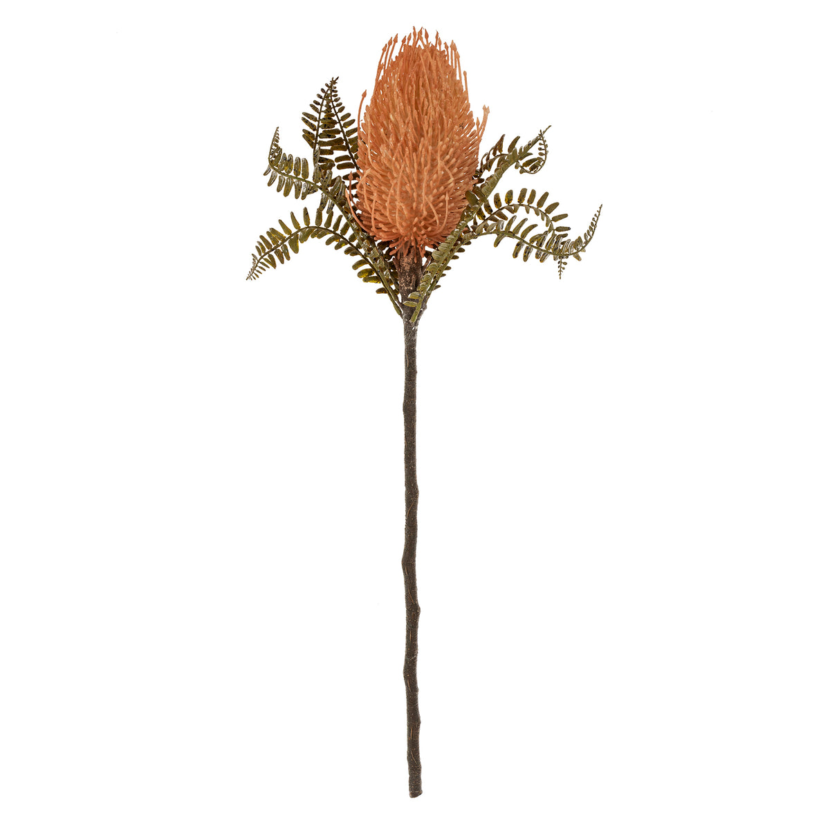 Artificial Banksia flower stem on a white background