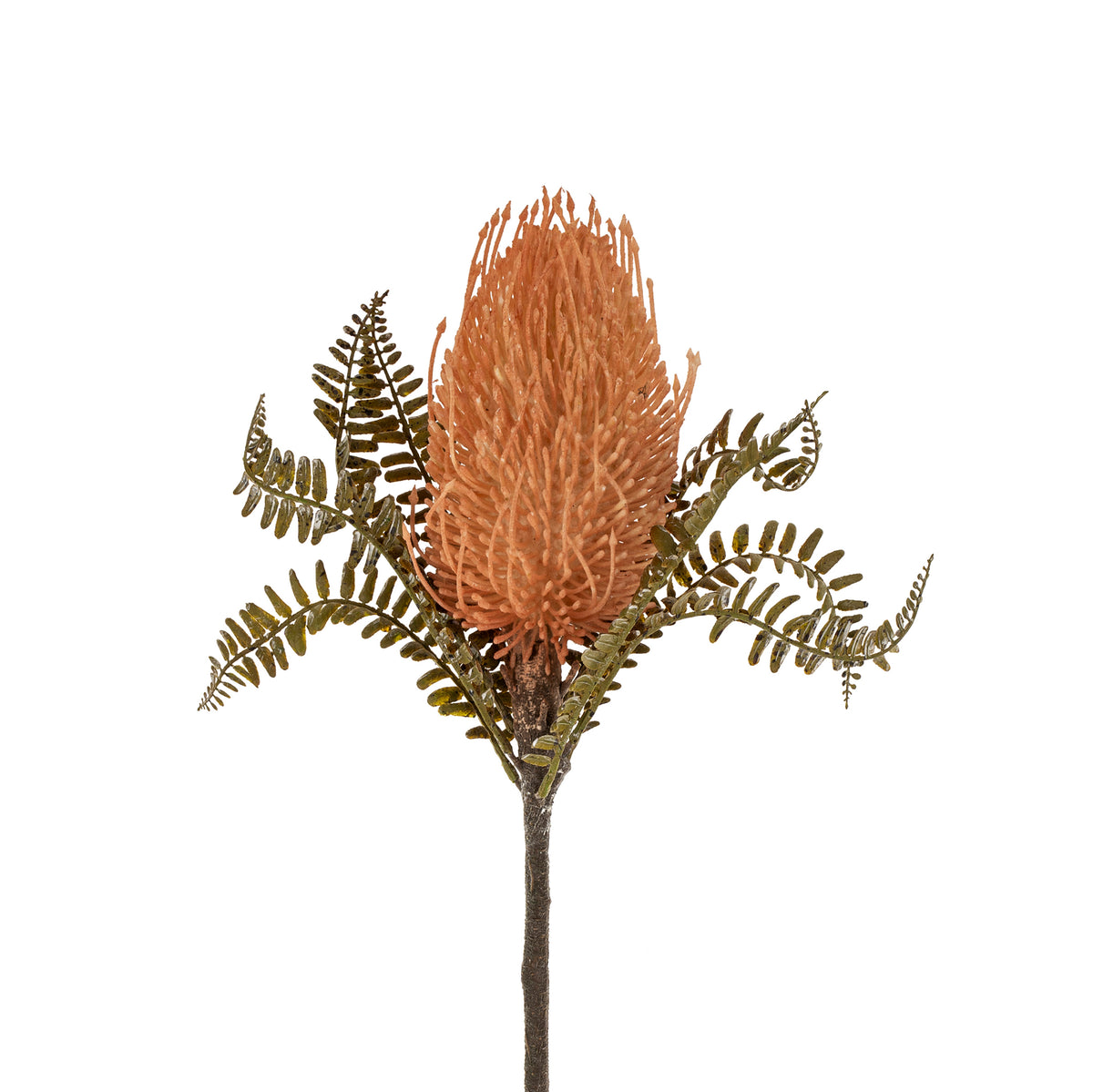 Artificial protea flower with green leaves on a white background