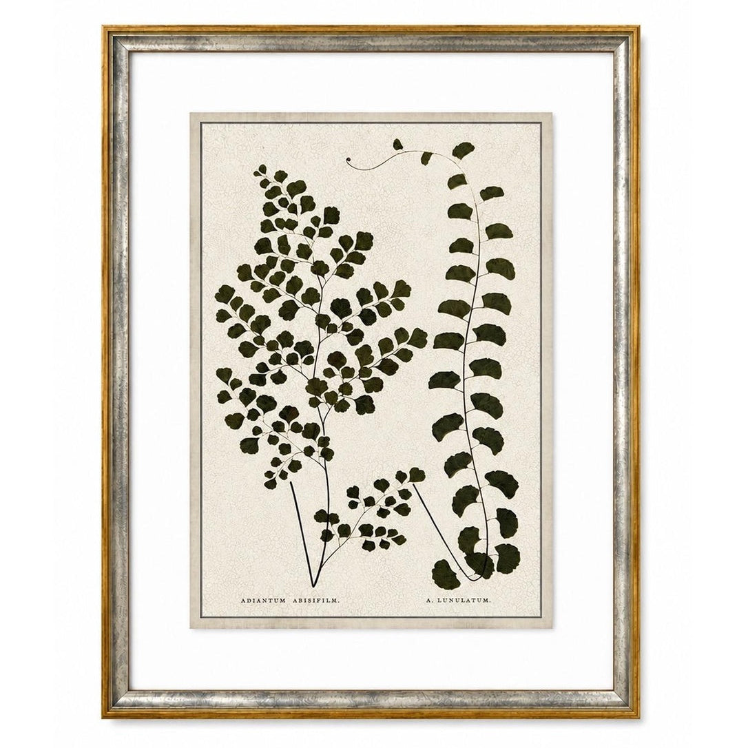 Framed botanical print of black leaves on a beige background