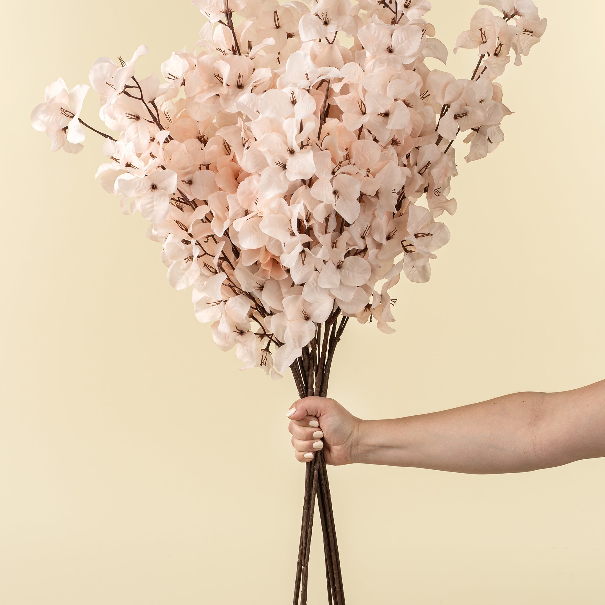 Hand holding a bouquet of light pink flowers against a beige background