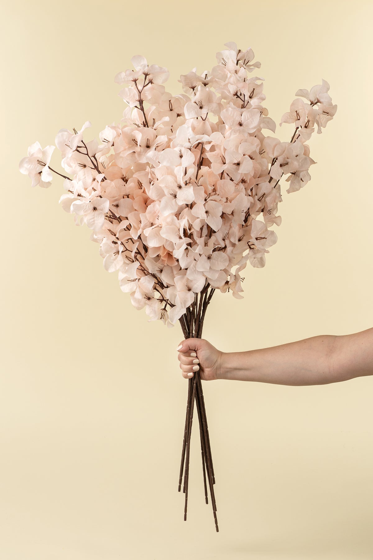 Hand holding a bouquet of light pink flowers against a beige background