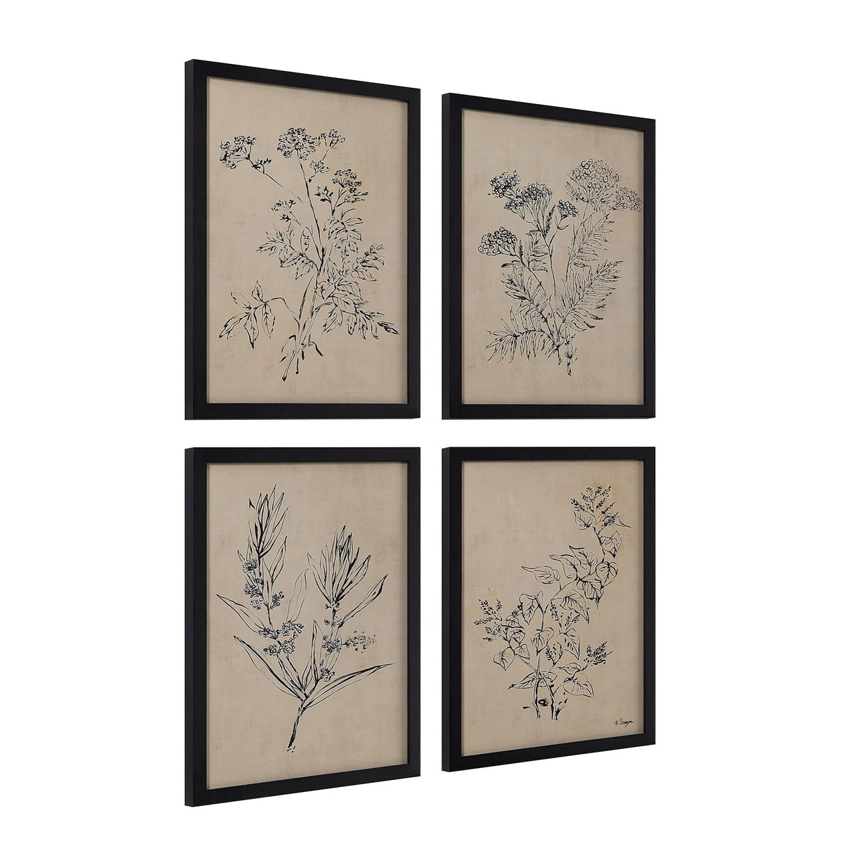 Angled side view of Herbarium Noir wall art set showing the depth of the black frames and glass cover