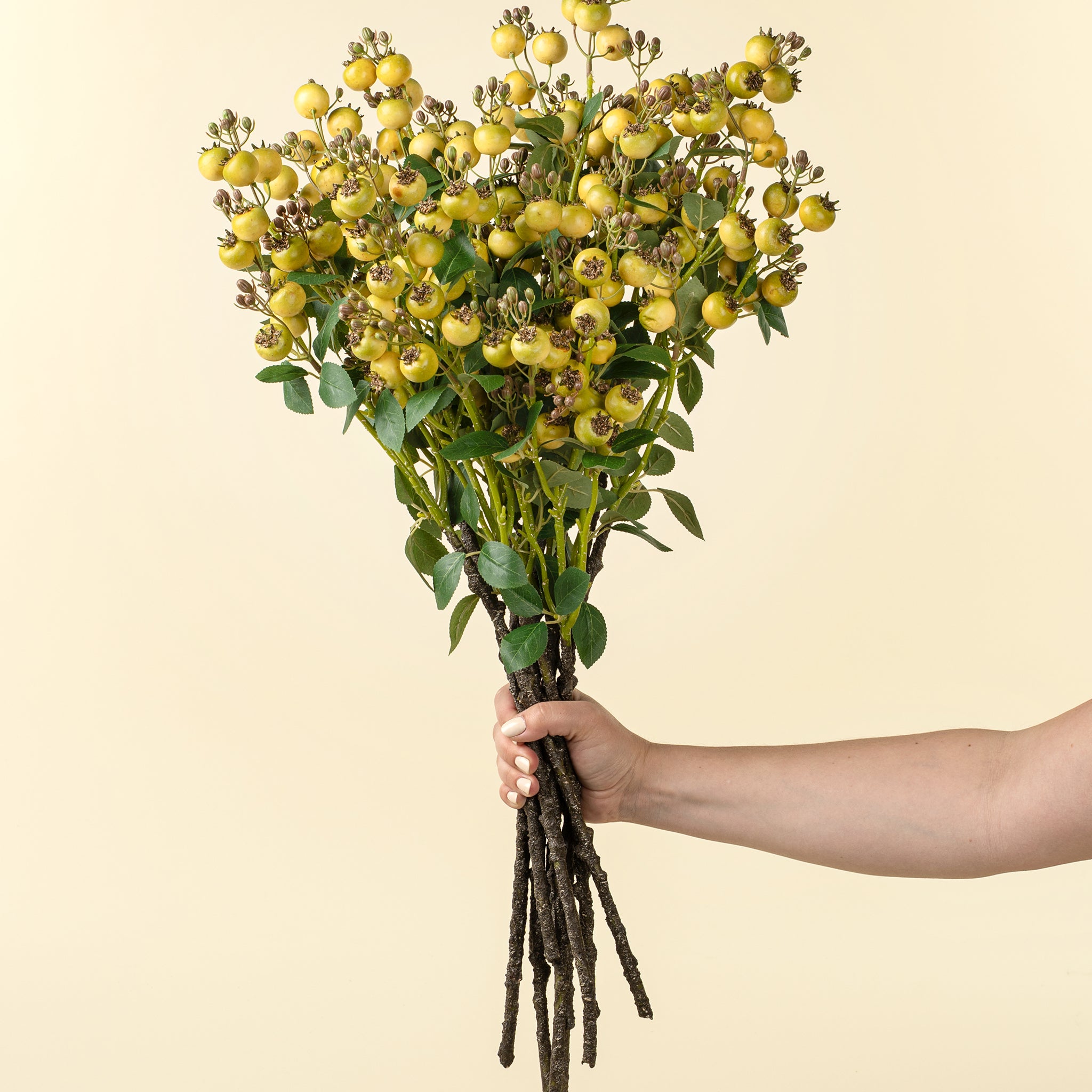 Hand holding a bouquet of yellow flowers against a beige background