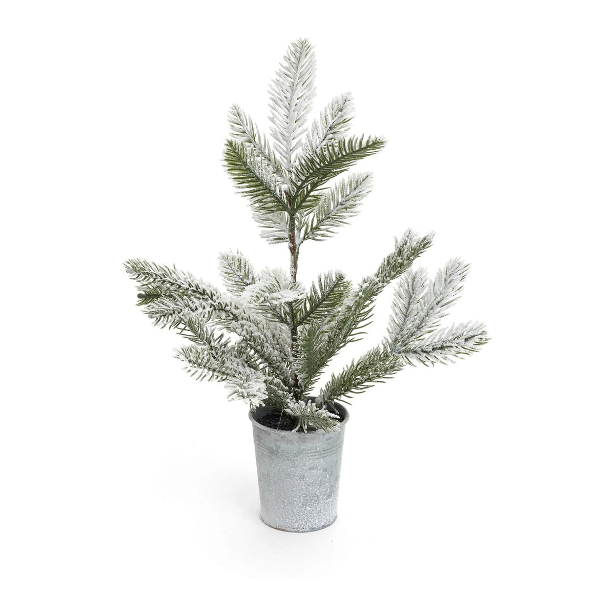 Snow-flocked tabletop evergreen tree in a galvanized metal pot