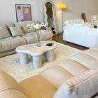Furry White Carpet - Cozy Furniture & Lifestyle