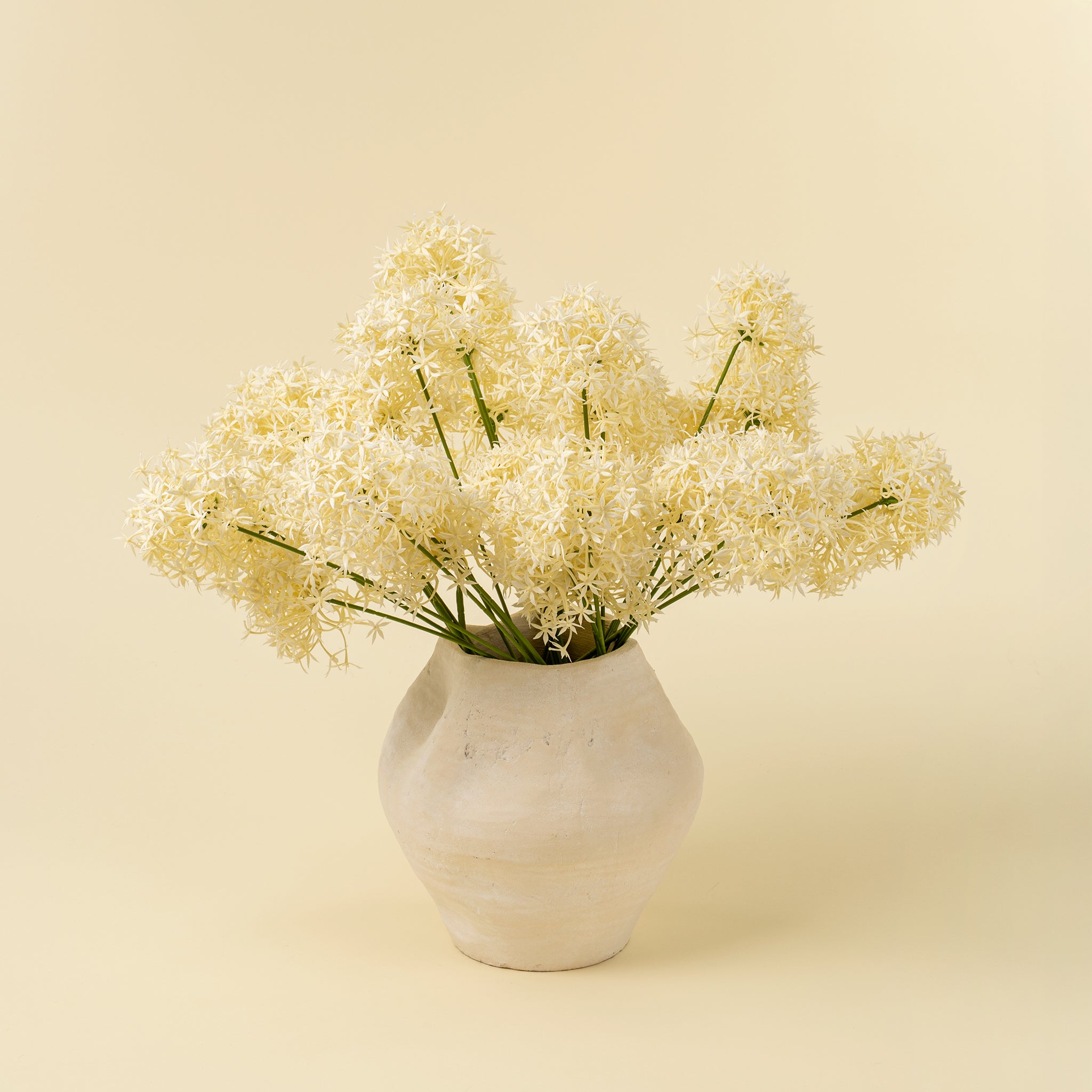White vase with white flowers on a beige background