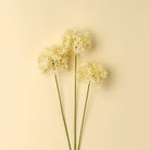 Three white flowers with green stems on a beige background