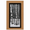 Aspen Frost Framed Fresco