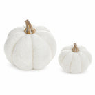Aster large and small white wool pumpkin decor with beige stems on a white background.