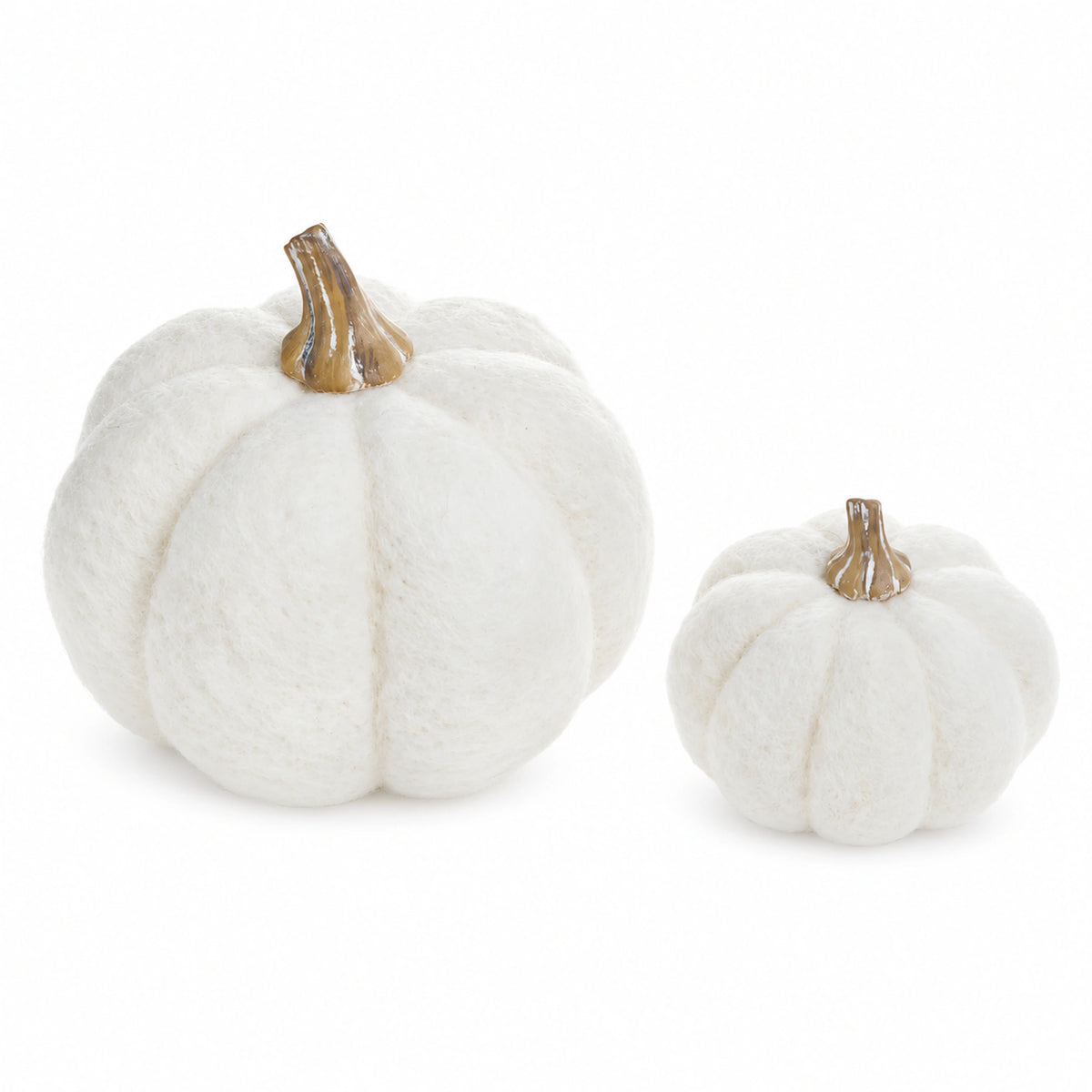 Aster large and small white wool pumpkin decor with beige stems on a white background.