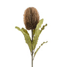 Artificial banksia flower with brown cone and green leaves on a white background