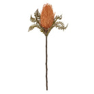 Artificial Banksia flower stem on a white background
