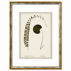 Botanical Green I Framed Art