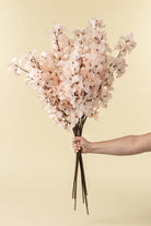 Hand holding a bouquet of light pink flowers against a beige background