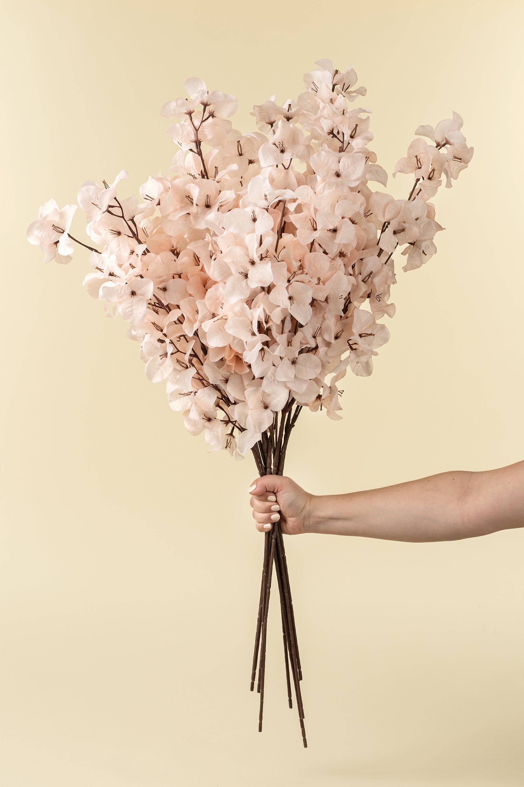 Hand holding a bouquet of light pink flowers against a beige background