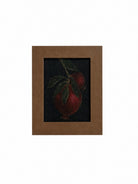Framed artwork of a pomegranate on a dark background