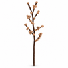 Elsie Wool Berry Branch – Camel