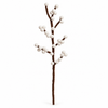 Elsie Wool Berry Branch – Ivory