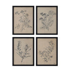 Herbarium Noir botanical wall art set of 4 framed prints featuring vintage black ink plant sketches on beige background