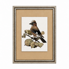 Framed artwork of a bird on a branch with a beige background