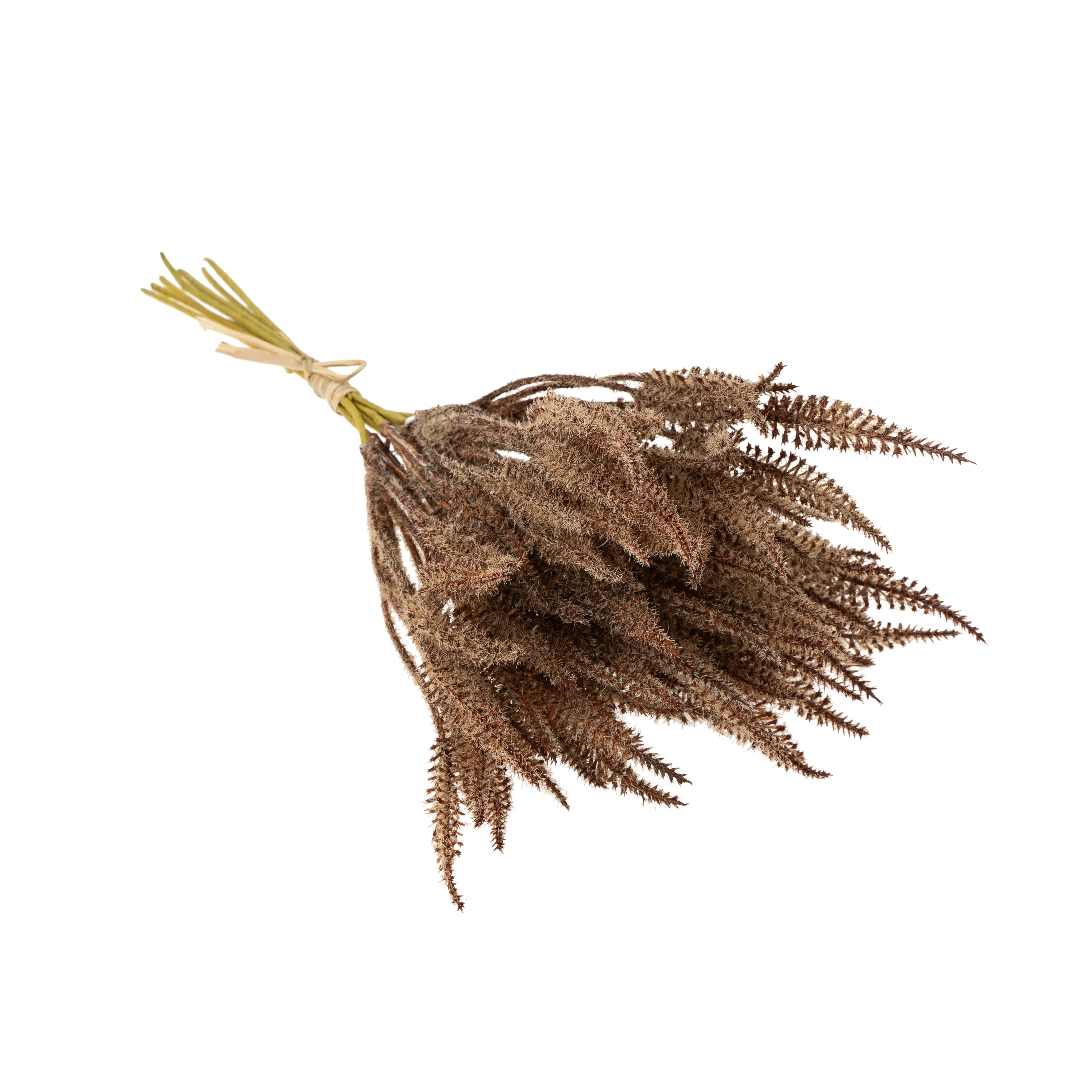 Faux Botanicals