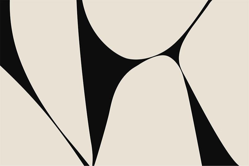 Monochrome Flow Art Carpet featuring abstract black and beige curved shapes