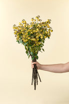 Hand holding a bouquet of yellow flowers against a beige background