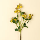Artificial plant branch with yellow berries on a beige background