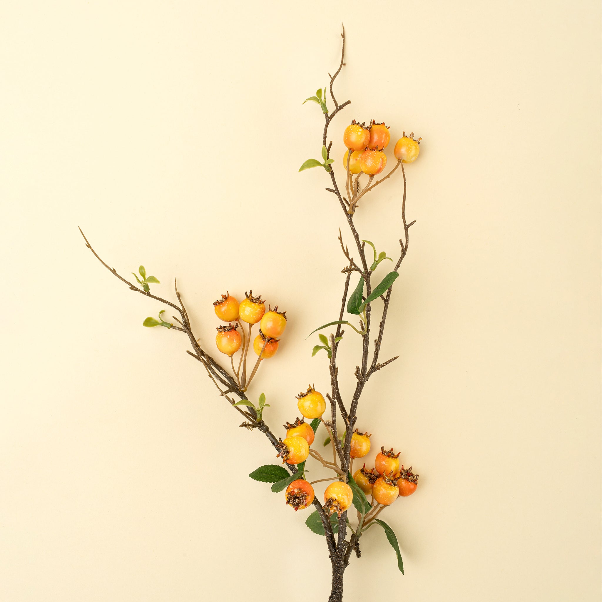 Artificial branch with orange berries on a beige background